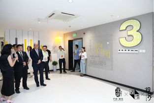 “设计无界，产业互联” 桐引凤创新赋能综合体开幕仪式圆满落幕